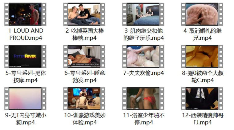 Shuangpian Collection-15 แพ็คเกจวิดีโอ Shuangpian-Wanke วิดีโอ (12 ชิ้น)