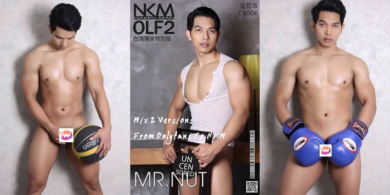 NKM OLF NO.02 Mr. Nut-Wanke photo + video