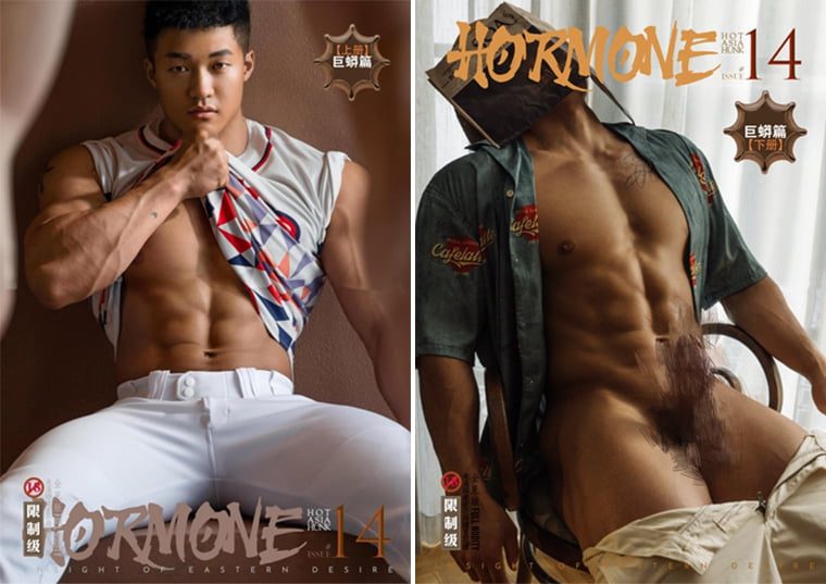 HORMONE NO.14 Giant Python Collection Package——Wanke รูปภาพ