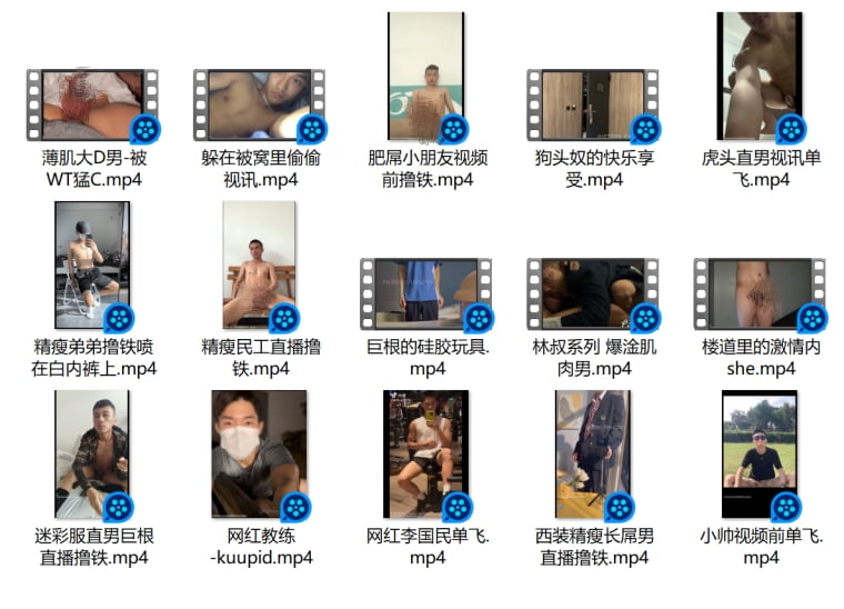 Domestic Collection 56——Wanke Video